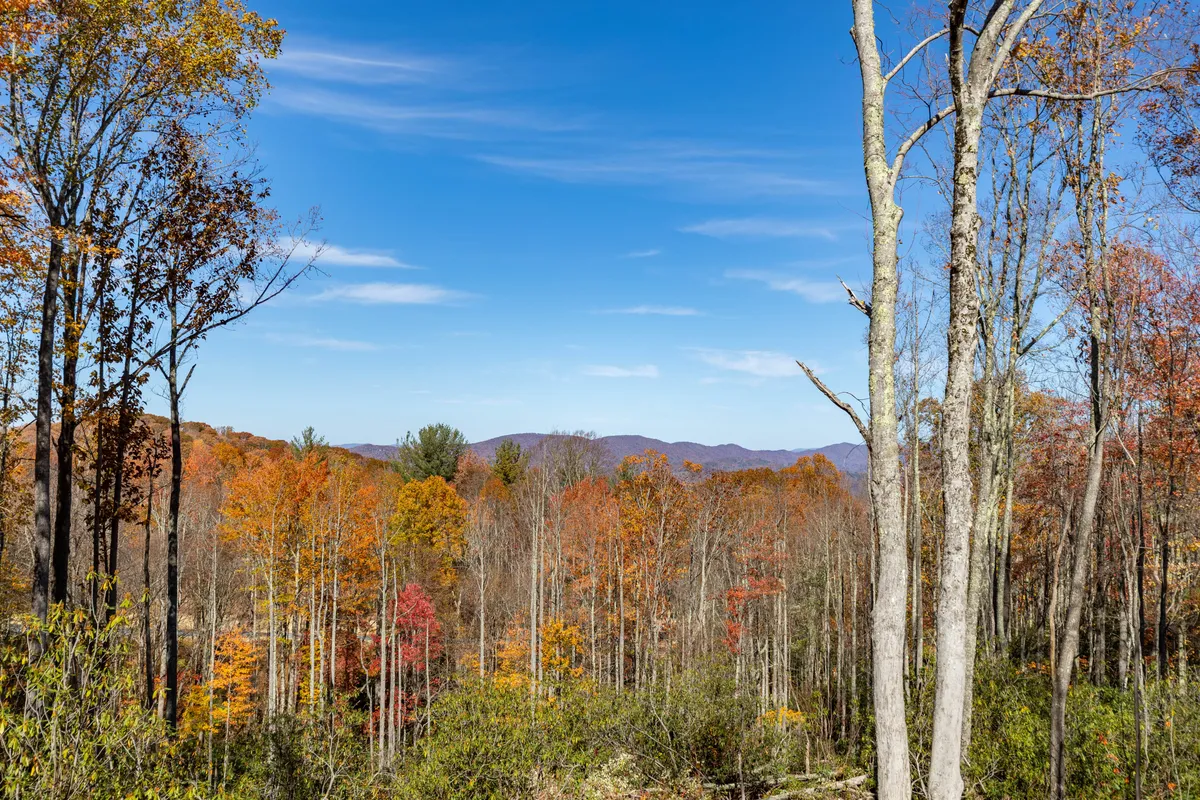 A panoramic view of colorful autumn foliage and distant mountains, framed by bare tree trunks—a classic representation of the Blue Ridge environment. The scene evokes the opportunity for midday hikes or outdoor breaks mentioned in the section.